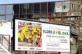 /album/fotogaleria-ildiko-palova/billboard-palova-vizualizacia-jpg1/